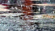 lluvia, gotas de lluvia, lluvia pesada, primavera