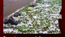 Reportan graves daños en vehículos y viviendas de Córdoba tras un fuerte temporal con piedras de granizo gigantes.