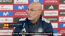 De la Fuente adamant Spanish player deserves Ballon d'Or