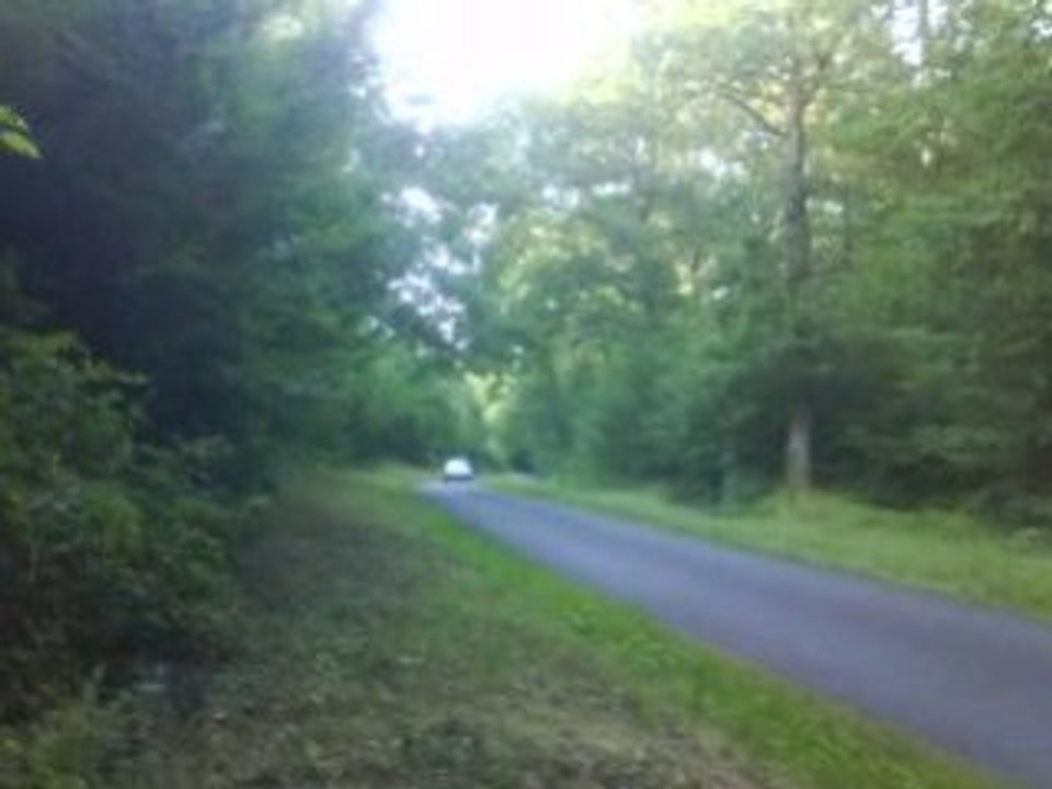 essai2 309