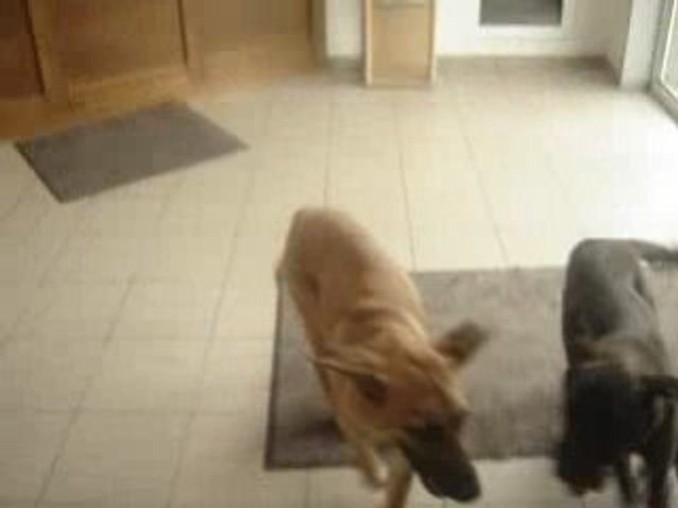 MOV04262