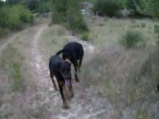 caly  alter et titi et sam n°2