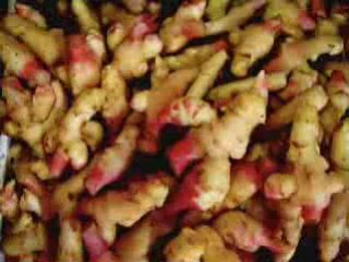 Overflow Cafe SEO Tutorials