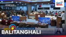 Depensa at ilang senator-judge, kinuwestiyon kung bakit kailangang may tumestigo tungkol sa mga armas nina VPSD at Atty. Mans Carpio | Balitanghali