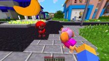 TODA LA PAW PATROL DESCUBRE QUE SKYE ESTÁ EMBARAZADA EN MINECRAFT 😱