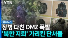 "아군 지뢰 아니다"...DMZ 폭발에 군이 주목한 결정적 단서 [자막뉴스] / YTN
