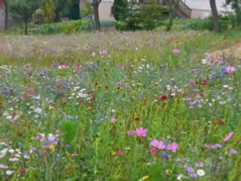 Rando 2008 2ème partie