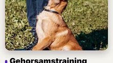 Die Methode, seinen Hund in 15 Minuten / Tag zu trainieren: Ein umfassender Erziehungsleitfaden, der von einem Hundeexperten entworfen wurde: Gehorsam, Stubenreinheit, Bellen. — Christelle Chartier