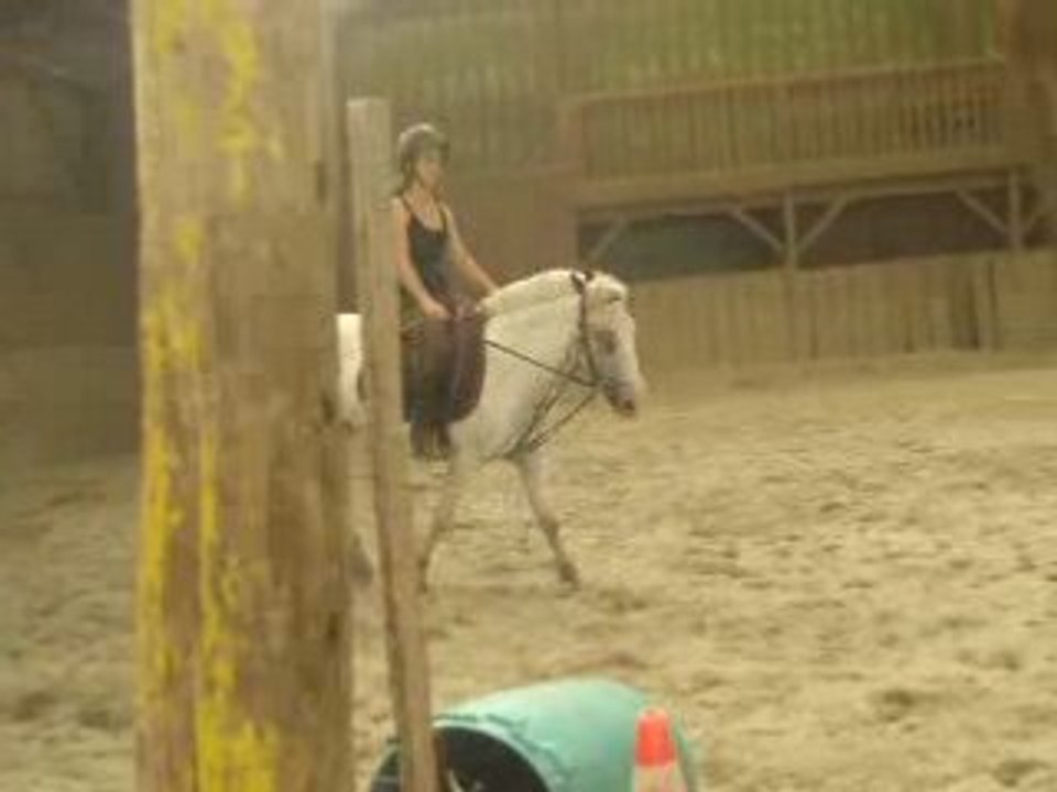 Dressage reprise galop 4-5