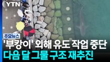 '부캉이' 먼바다 유도 작업 중단...다음 달 그물 구조 재추진 / YTN