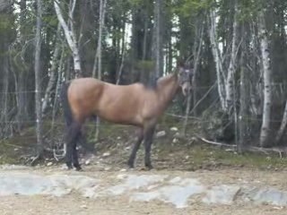 Moe qui fait des sourire
