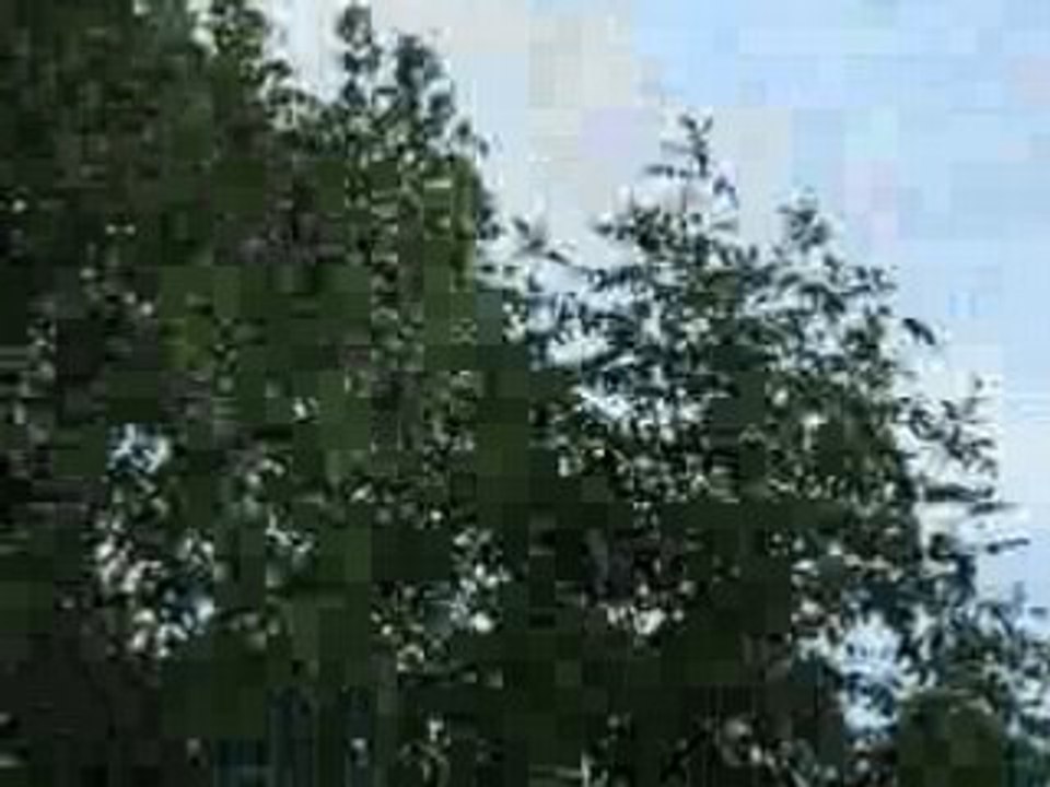 chem montreal août 2008