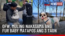 OFW, muling nakasama ang fur baby matapos ang 3 taon | GMA News Feed