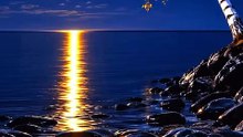 Where Stillness Lives | Surreal Nature Fantasy