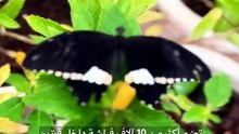 السياحة في أبوظبي بين 6 تجارب ثقافية وعائلية