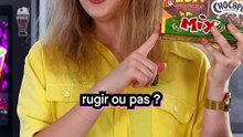 Cette glace va faire rugir avec les céréales Lion !