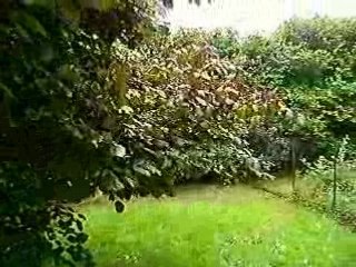 journée du 12 aout 2008