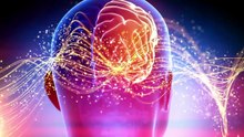 🤖🧠☄️ **L’IA NOUS SURPREND… LE CERVEAU HUMAIN S’INSTALLE CHEZ LA SOURIS… ET QUELQUE CHOSE SURVOLE TÉHÉRAN !** 🚨