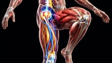 :  🧠 Can Standing on One Leg Actually Train Your Brain?