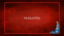 Malavia/2025 HD