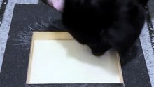Dog Nail Scratch Board with Treat Drawer | No-Stress Nail Trims