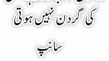 How to get Islamic question