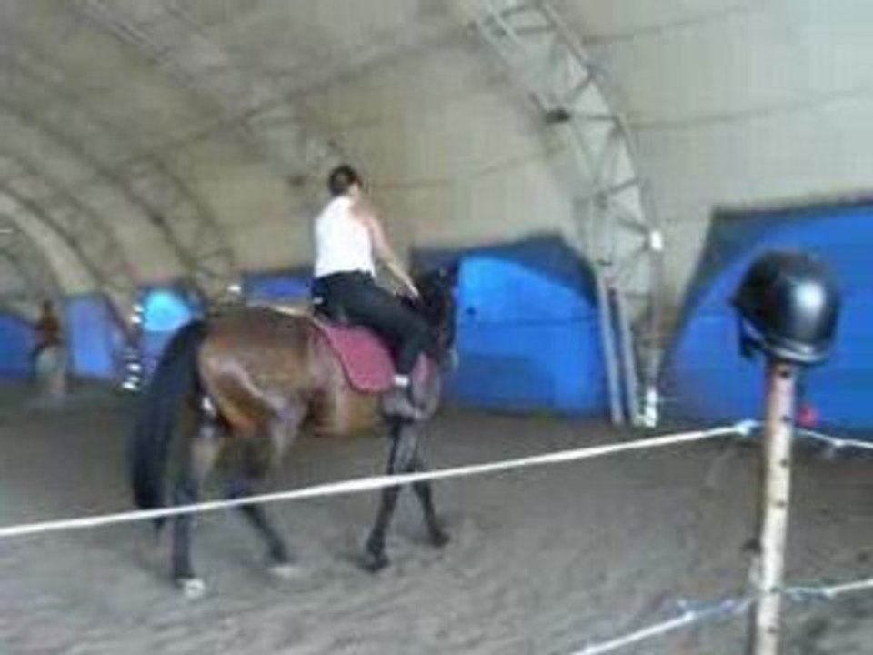 9.8.2008cours-equitation 011