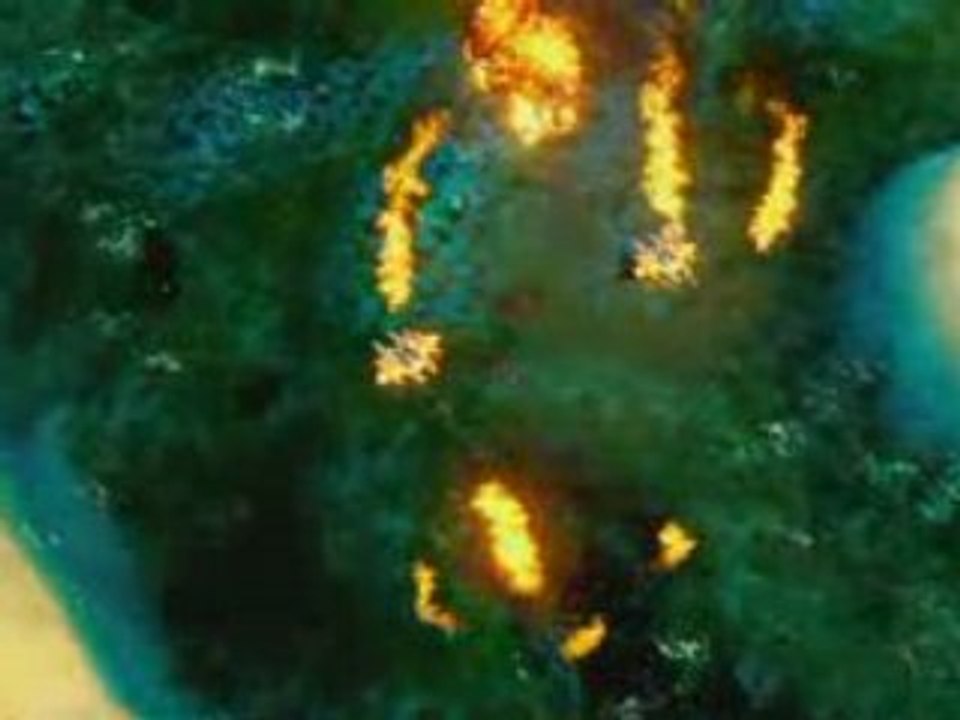 RA3SeaWing
