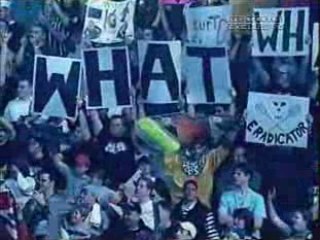 Stone Cold Steve Austin - What Video