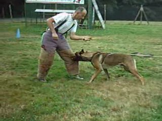 entrainement Ring Cisco 13 mois