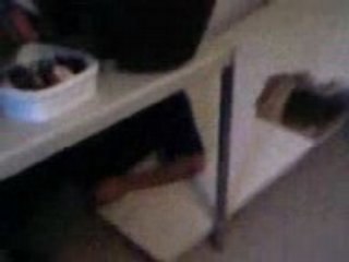 David et ses conneries