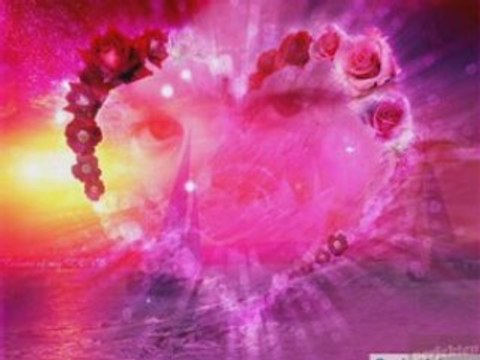 Mira & Aleks - Cql jivot