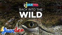 Lola at ang kanyang alaga na si “Lolong,” kilalanin! | I Juander