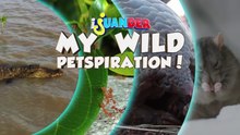 May emosyon ba ang wild animals na ginagawang alaga? (Full Episode) | I Juander