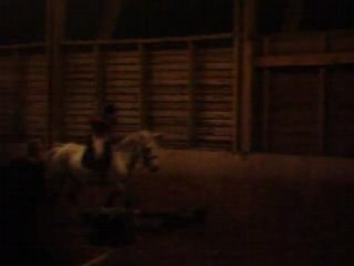 MON Ptit Lou en Cour