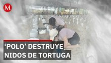 Huracán 'Polo' destruye nidos de tortuga marina bajo protección en Puerto Vallarta