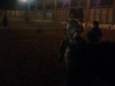 MON Ptit Lou en Cour