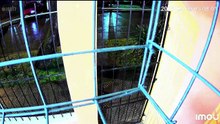 ssstwitter.com_1790702550186.mp4