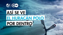 En el ojo del huracán Polo