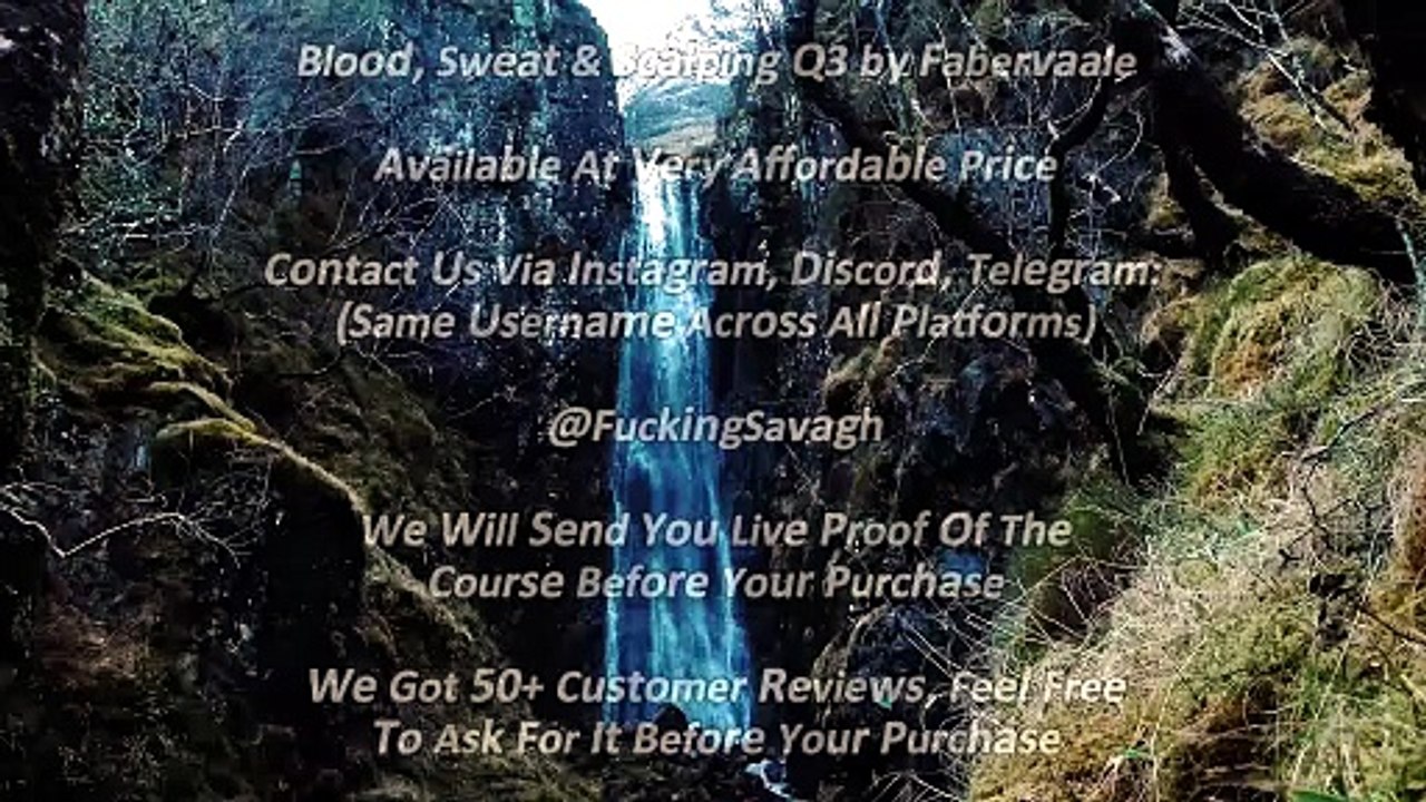Fabervaale – Blood, Sweat & Scalping Q3