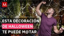 Por esto piden NO poner telarañas falsas en tu jardín este Halloween