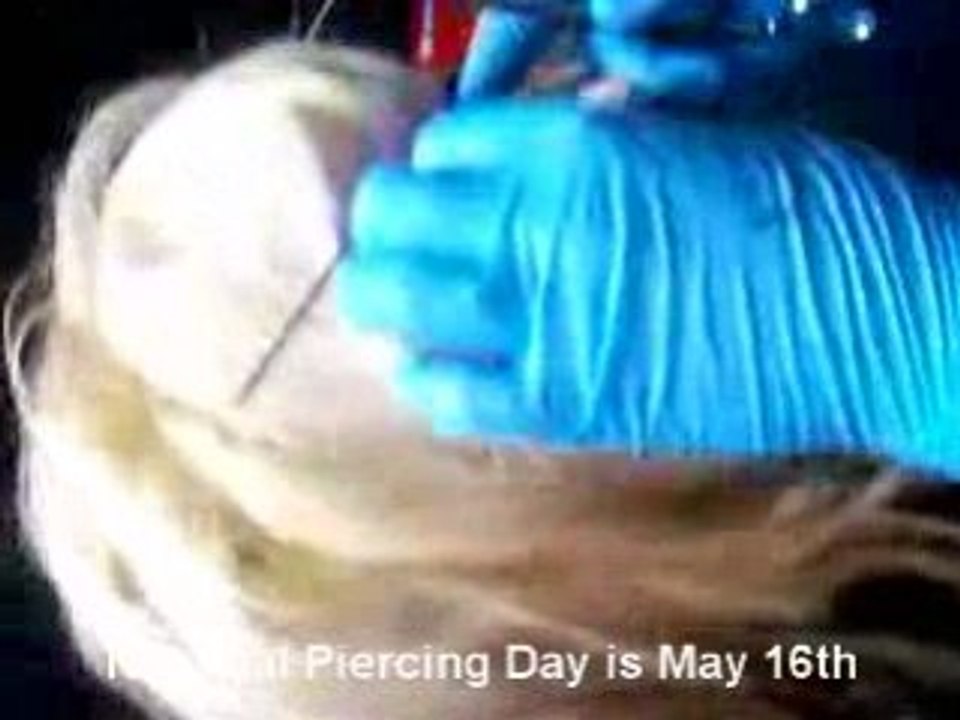 National Piercing Day is May 16th! (Bridge Piercing)