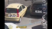 Animali doppiati