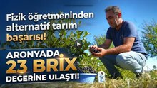 Fizik Öğretmeni Aronyayı Sevdi, Köyünde Bahçe Kurdu! Rekor Değer Elde Etti