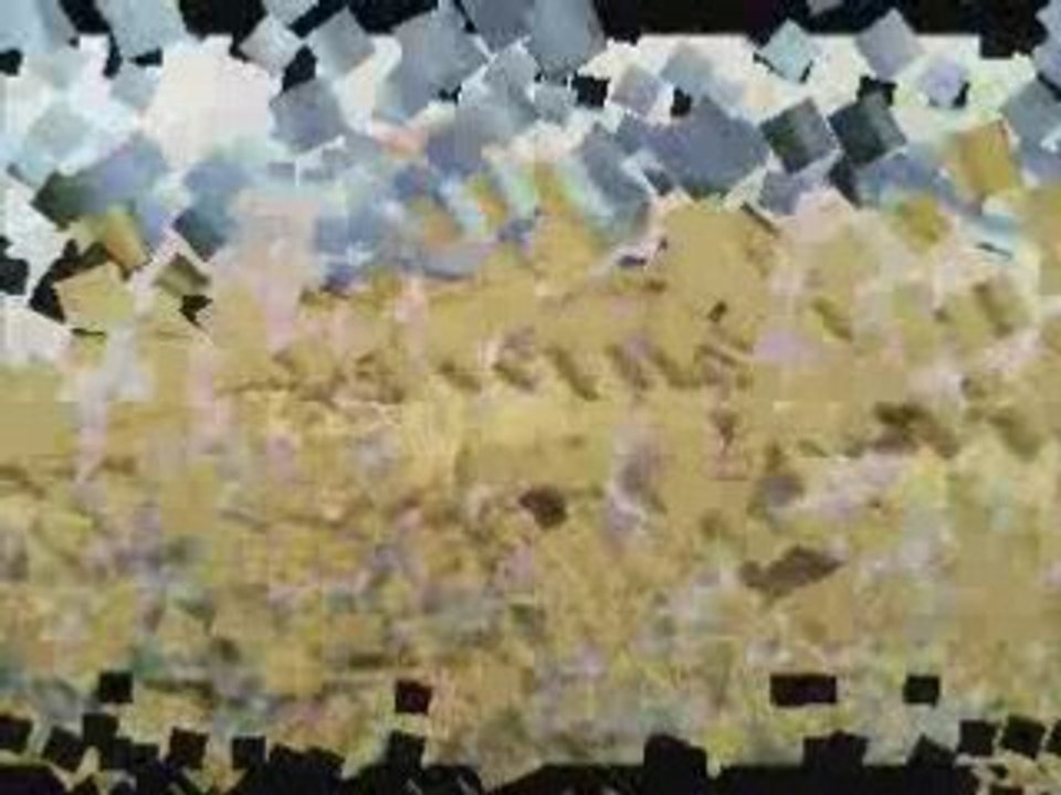 Crop circle du monde saison 2008 part.2