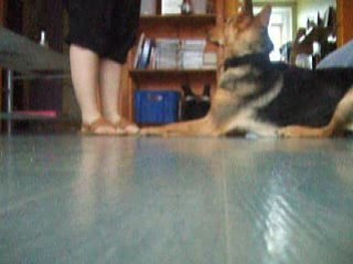 Test : Couché pas bouger au clicker