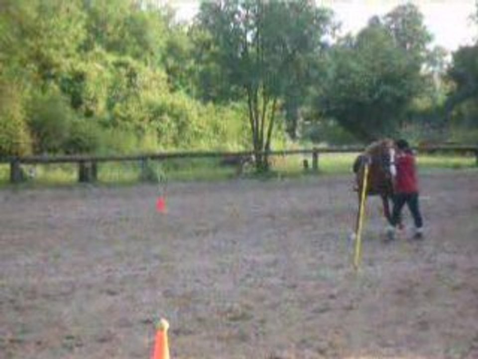 Entrainement de Pony-games A Terre - A cheval