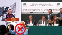 Ley Antimemes: Las reservas presentadas son rechazadas y avanza la iniciativa en Cámara de Diputados