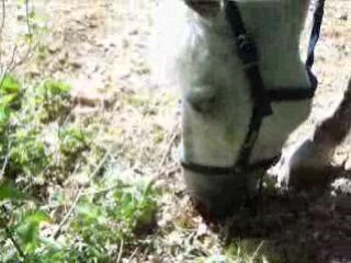 Mon Ptit Lou a Marolle Ki Broute