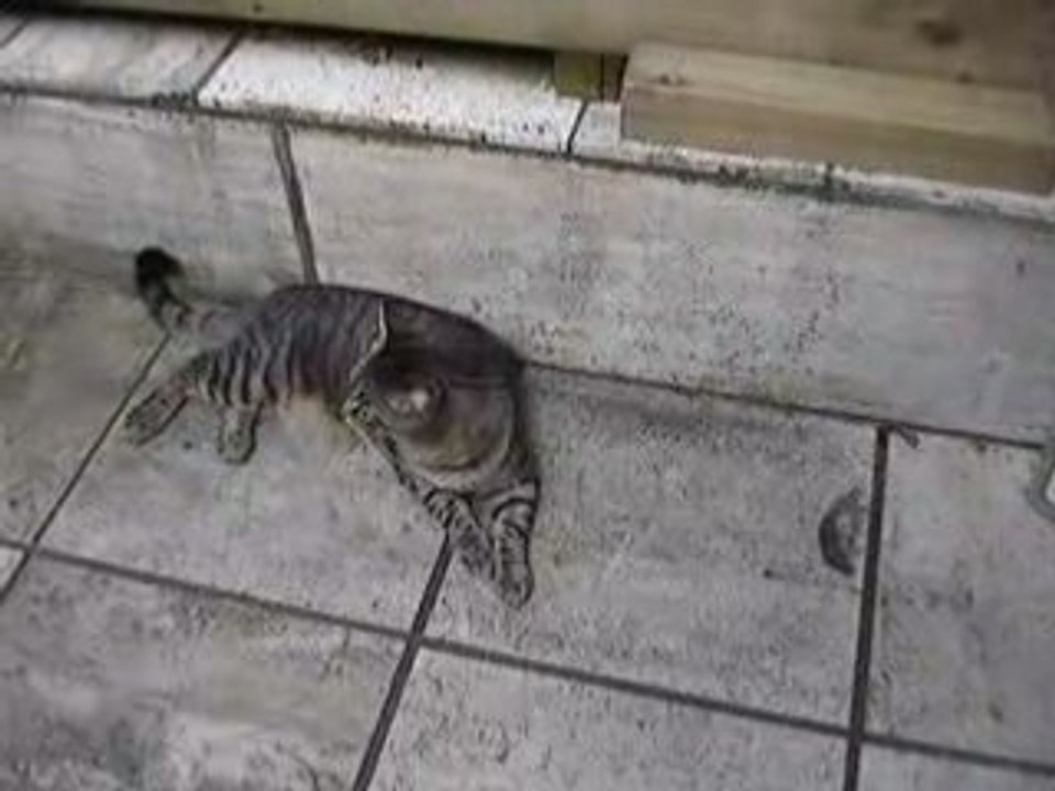 MOV05099
